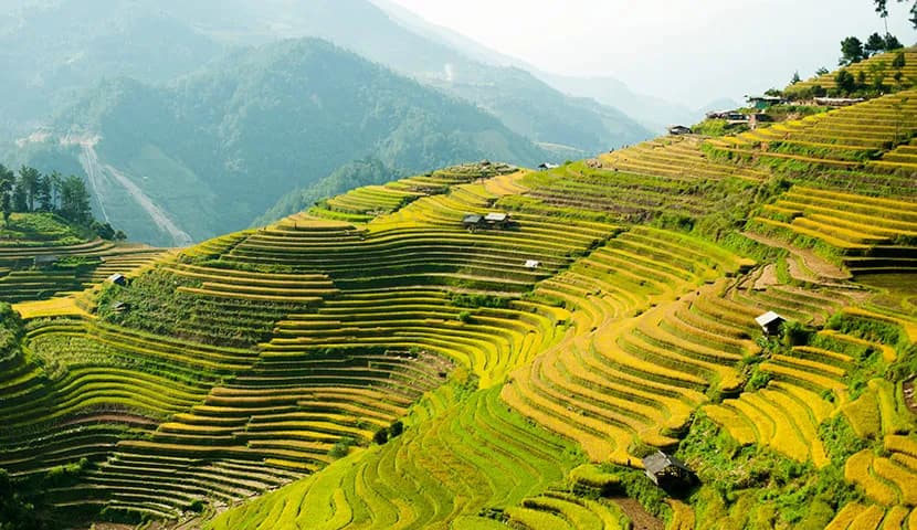 Hoa Vang rural